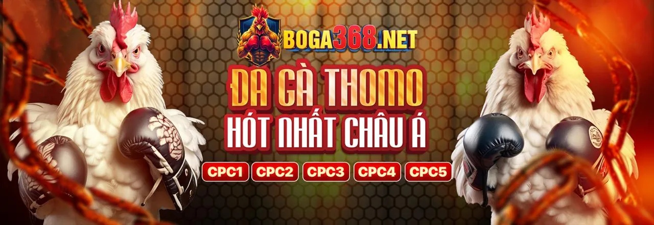 Đá gà trực tuyến zo88