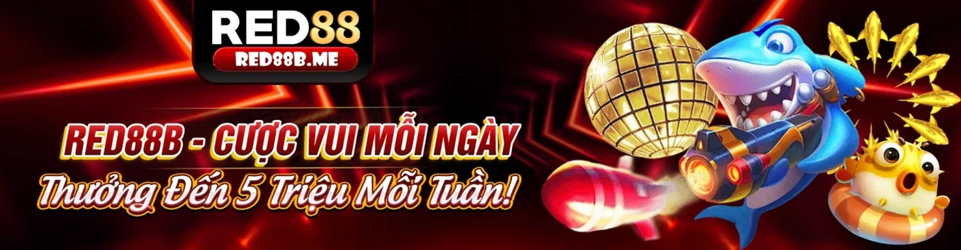 Hình ảnh hero cho trang Tuân thủ GDPR của zo88